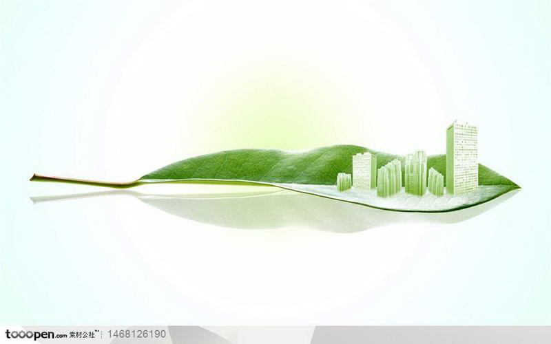 如何保护环境？10个实用建议助你成为环保行动者