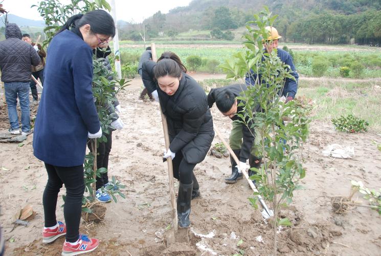 挤塑板哪种更环保？ 哪种油漆更环保？
