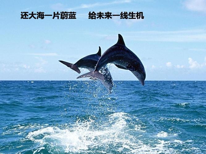 环保公益食品策划书(食品安全科普策划书)