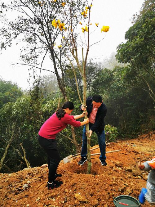 工厂节能降耗方案(公司员工福利方案)