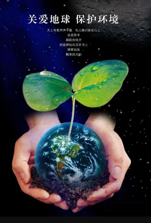 深圳环保动物救助公益组织(深圳动物救助站义工)