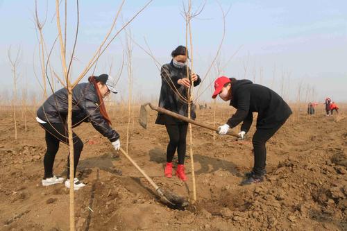 环境保护相关的节日：为什么这些节日如此重要