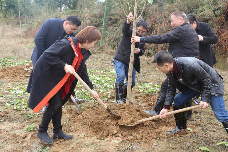 关于绿色环保的内容？ 关于质疑论文题目有哪些？