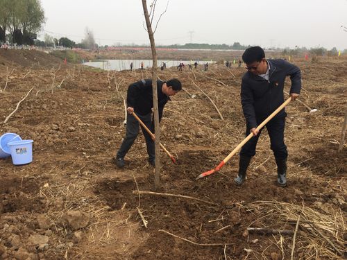 60条环保方法教你如何保护地球