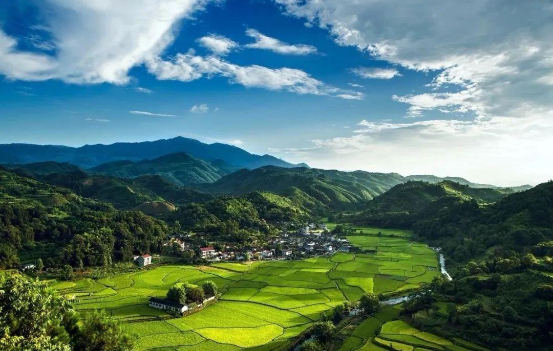 基层环保能力建设问题,加强中国环保部门能力建设的关键有哪些