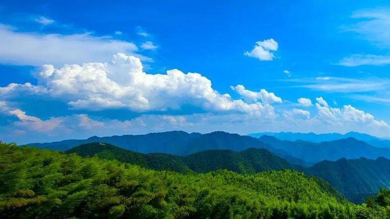 车辆绿色环保标志(车辆绿色环保标志哪里领)