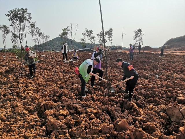 辽宁公益环保配件工厂电话(辽宁公益环保配件工厂电话号)
