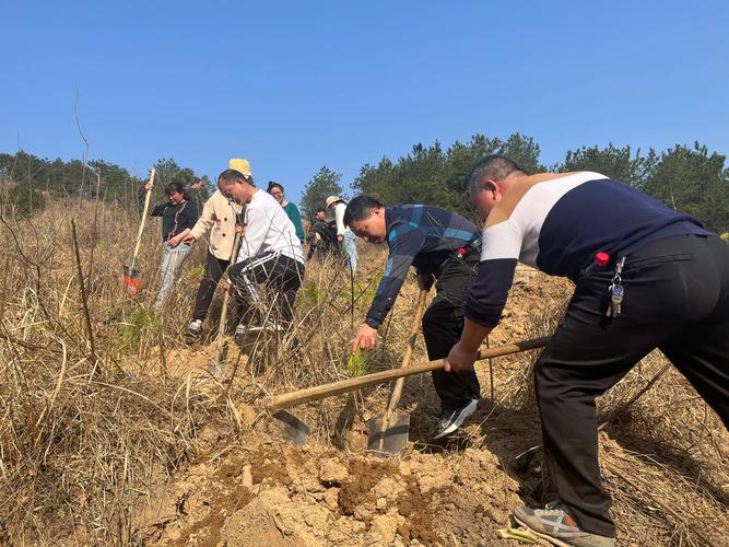 环保建议卡怎么写？ 小学生环保建议十条？