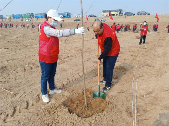 什么是绿色建材？ 戚家军具有什么特点？戚家军具有什么特点？