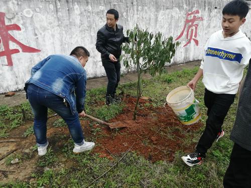 如何做才能成为保护环境的好学生？