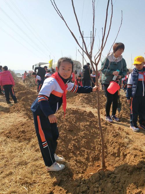 能源环境保护期刊怎么样？