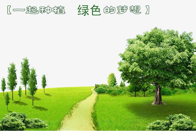 公司起名绿色环保类？ 装潢环保材料好不好？