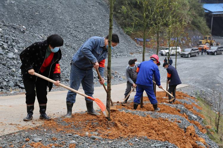 绿色出行实践活动感想