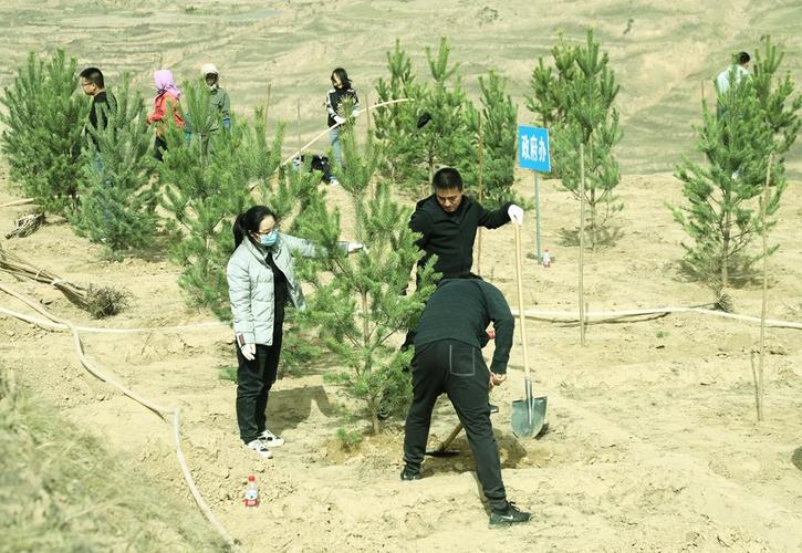 环保部环监局处长,金浦集团现任领导班子？