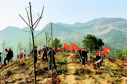 家园共育理论如何在幼儿园中进行实践？