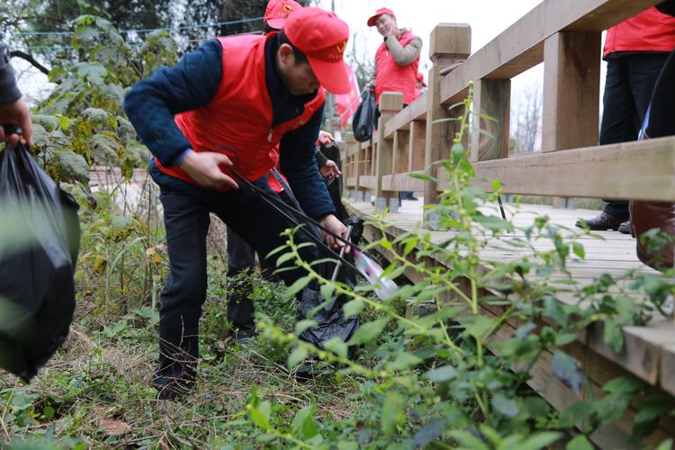 建设绿色家园我们应该怎么做？