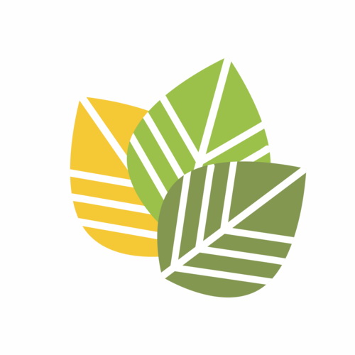 成为环保者：从个人行动到全球努力