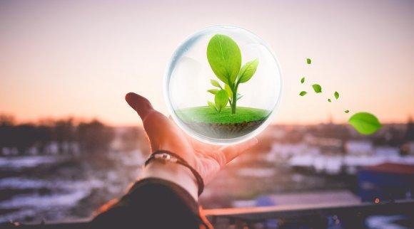 新能源环保燃料的情况介绍？