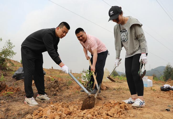 不乱扔塑料袋的建议措施有哪些？