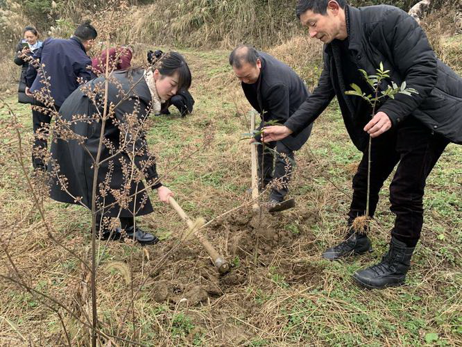 怎么写环保宣传？ 环保的宣传广告语？