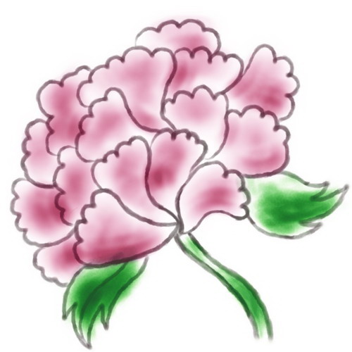 楼顶种什么植物好（适合爬墙的藤蔓植物推荐）
