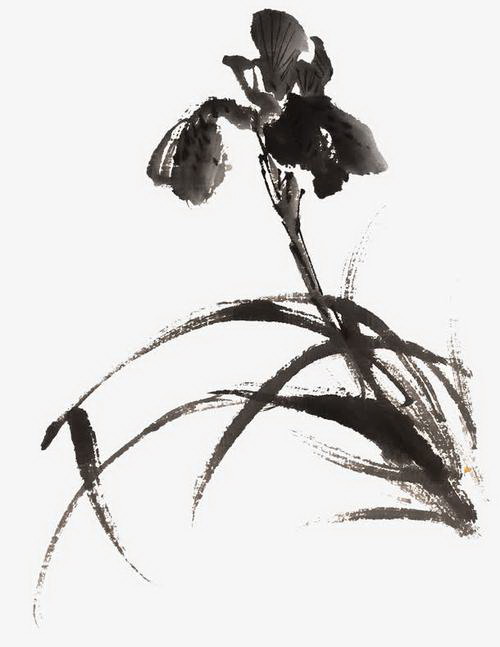 金银花栽培技术