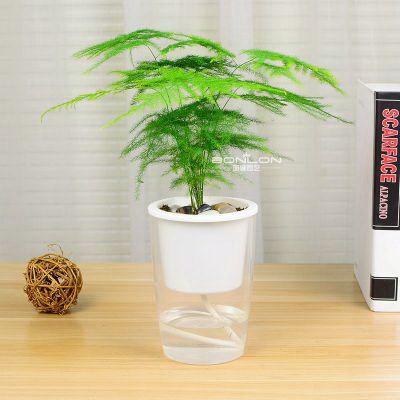 植物药酒得泡多久才能喝？泡制过程中需要注意什么？