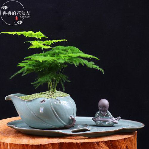 车厘子生长条件和特性
