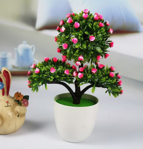 大青菜什么时候种植最好