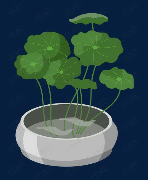 种植黑      日常养护方法