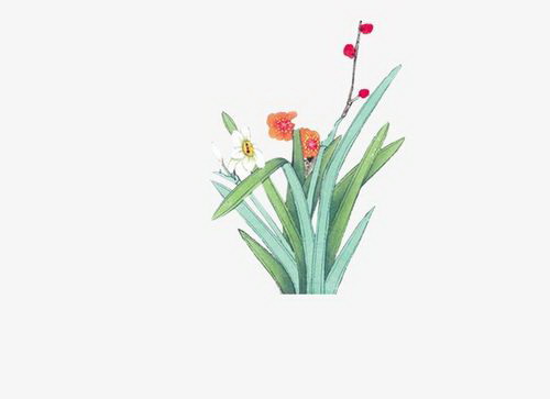 桂花什么时候扦插最合适