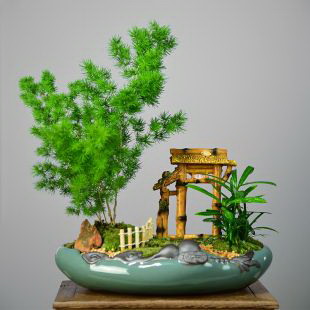 仙人球花卉的学名是什么？有哪些别称或俗称？