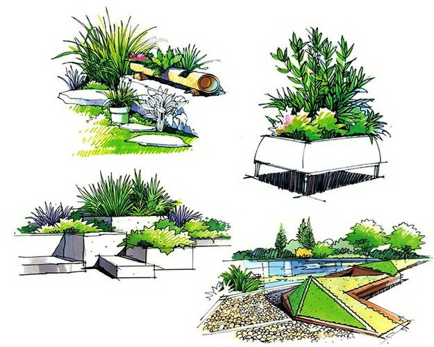沙棘种植条件 适宜种植在什么地方