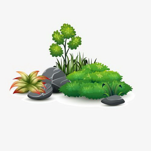 揭秘百香果种植（从亩产量到利润）
