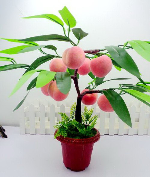 樱桃树怎么修剪方法