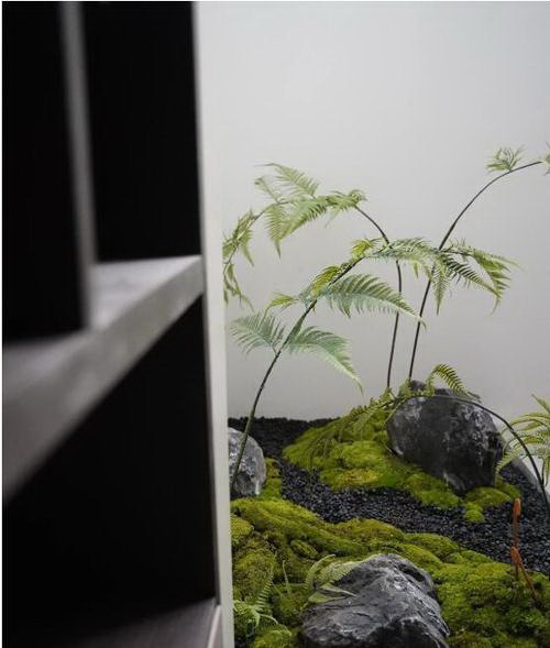 种植百合的最佳季节与方法（了解百合种植）
