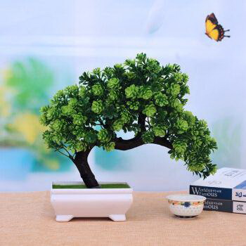 栀子花香味有毒吗？——揭秘栀子花香对人体的影响（解读栀子花香的危害与价值，保护生命与文化传承）