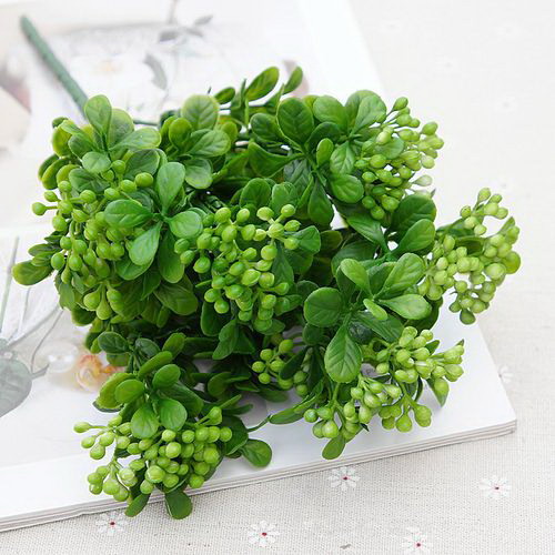 挑选娃娃菜，这些品种最好（一份详细的娃娃菜品种指南）