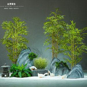 如何解决兰花叶片枯黄的问题