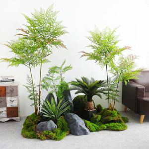 芹菜种子怎么种植方法