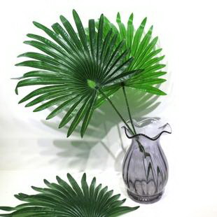 红菜苔种子怎么种植