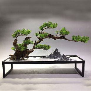 鹤望兰的家庭养殖方法（如何在家中种植美丽的鹤望兰）