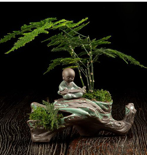 如何让百香果树早年结果（百香果树的生长特点和栽培技巧）
