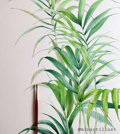 肉肉植物冬天怎么养护