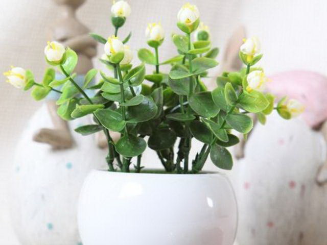 茉莉花打顶时间及方法步骤
