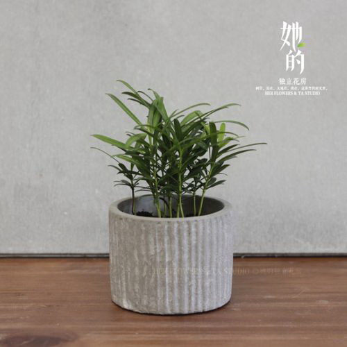 凤梨是发物吗？凤梨属于发物食物吗？